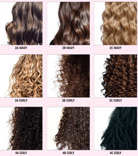 Curl Type Chart, Hair Texture Chart, Types Of Perms, Hair Type Chart, Perm Curls, Hair Chart, Curly Perm, Style Curly Hair, High Porosity Hair