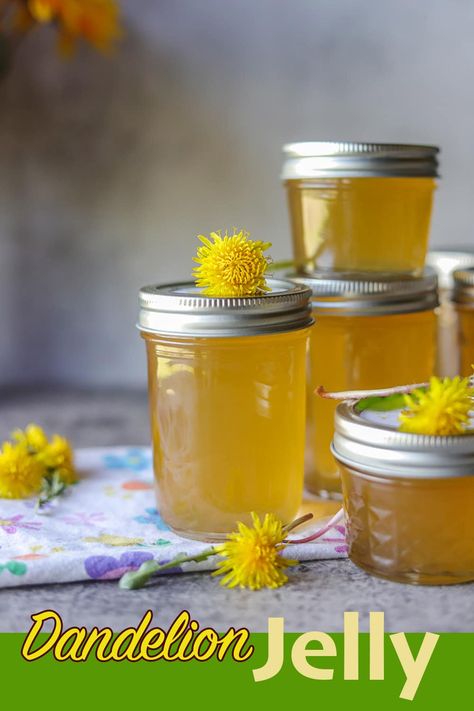 jars of dandelion jelly Dandelion Jelly Recipe, Dairy Free Vegan Recipes, Making Jelly, How To Make Jelly, Home Made Christmas, Canning Jams, Dandelion Tea, Dandelion Jelly, Canning Jam