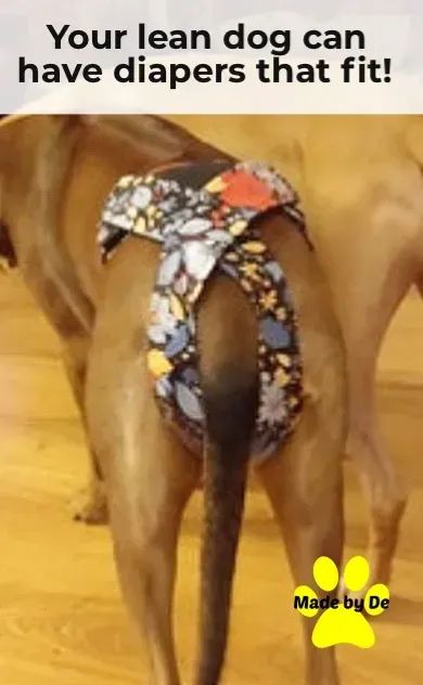 Athletic dogs, especially those with a long, lean build, can have a rough time finding diapers that fit. Great Fit diapers adjust in several ways to help make the fit more custom. In addition, they are made just for your dog for the best fit possible. Dog Diapers Diy Female, Feminine Pad, Dog Overalls, Feminine Pads, Athletic Dogs, Fit Dogs, Dog In Heat, Rough Time, Active Dogs