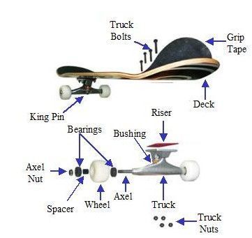 Skateboard parts Skateboard Videos, Beginner Skateboard, Skateboarding Tricks, Longboard Design, Skateboard Deck Art, Skateboard Art Design, Skateboard Parts, Skateboard Trucks, Skateboard Photography