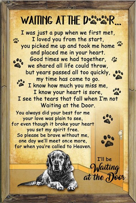 Dog Poems, Dog German, Pet Remembrance, Dogs Love, Dog Sitting, Paw Prints, Pet Loss, Animal Quotes, Dog Quotes