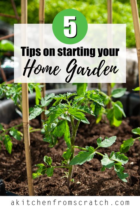 Learn all about starting a home garden from scratch. No gardening experience necessary, by following these five simple steps and 5 tips to starting your home garden. This post applies to the seasoned gardener as well as gardening for beginners. Learn how to start a garden TODAY! Starting A Garden For Beginners, Garden Planing, Gardening For Dummies, How To Make Compost, Starting A Vegetable Garden, Thriving Garden, Easy Landscaping, Starting A Garden, Organic Gardening Tips