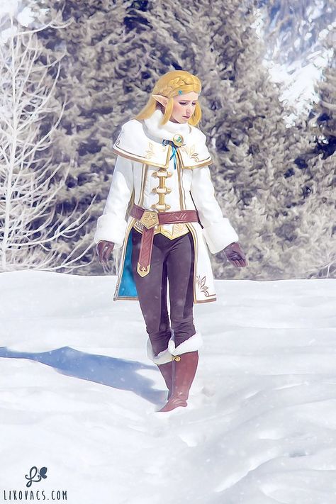 Zelda Winter Outfit, Zelda Clothes, Zelda Outfits, Link Zelda Art, Zelda Diy, Winter Picture, Legend Of Zelda Characters, Princesa Zelda, Zelda Cosplay