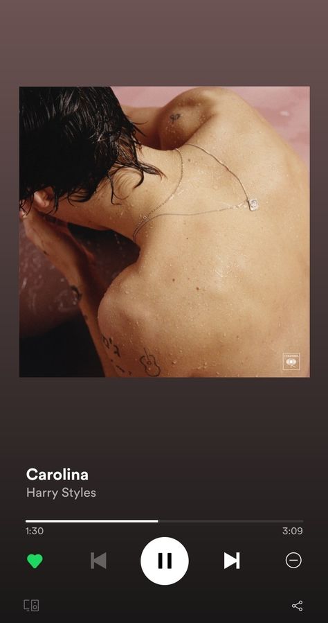 Carolina - Harry Styles Meet Me In The Hallway, Sign Of The Times Harry Styles, Songs That Describe Me, Harry Styles Songs, Harry 1d, Mr Style, Fall Fun, Spotify Song, To Meet