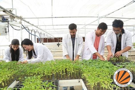 LPU students are exposed to modern-day technology for cultivation and farming. Indian Institute Of Science, Banaras Hindu University, Agricultural Engineering, Human Resource Development, College List, Engineering Courses, Agricultural Science, Plant Science, Engineering Colleges