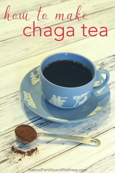 Chaga Mushroom Recipes, Chaga Recipes, Chaga Tea Recipes, Elderberry Tincture, Chaga Mushroom Tea, Mushroom Food, Chaga Tea, Tree Hugging, Infused Waters