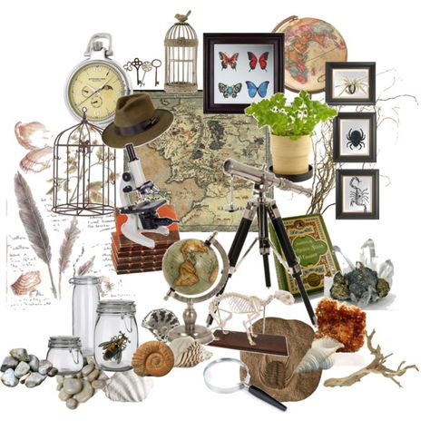 I really want to do a boys rooms in a natural history theme after visiting Adelaide's importers of natural history items. Couldn't resist putting the Indiana Jo... Explorer Bedroom, Science Bedroom, Adventure Bedroom, Explorer Theme, Bedroom Castle, Travel Themed Room, Adventure Room, Diy Sofa Bed, Travel Bedroom