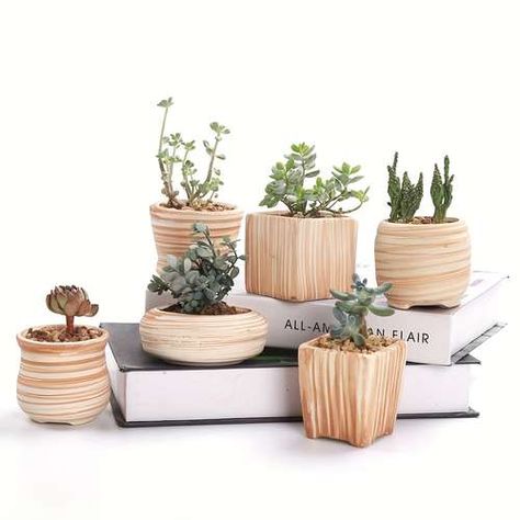 Temu：Shop like a Billionaire Cactus Plant Pots, نباتات منزلية, Planter Gift, Ceramic Succulent, Wooden Pattern, Indoor Gardens, Succulents In Containers, Cactus Plant, Wooden Planters