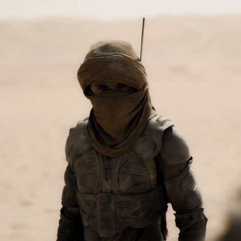 Fremen Dune, Dune Paul Atreides, Dune Novel, Dune Frank Herbert, Dune Art, Paul Atreides, Frank Herbert, Black Sails, Halloween Inspo