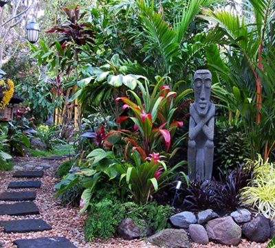 How to Create a Tropical Garden - Palmers Garden Centre Tropical Garden Plants, Tropical Backyard Landscaping, Small Tropical Gardens, Bali Garden, Balinese Garden, Tropical Landscape Design, Ficus Pumila, Tropical Garden Design, Jungle Gardens