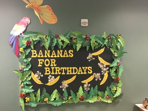 Jungle Theme Ideas For Preschool, Jungle Theme For Preschool Classroom, Safari Themed Preschool Classroom, Bulletin Board Jungle Theme, All About Me Jungle Theme, Safari Board Ideas Classroom Themes, Wild About Kindergarten Bulletin Board, Safari Themed Classroom Ideas, Safari Birthday Board Classroom