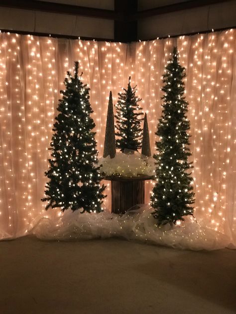 Curtain Lights Backdrop Christmas, Christmas Back Drop Ideas Pictures, Barn Christmas Decorations, Winter Wedding Backdrop, Advent Design, Winter Wonderland Party Theme, Christmas Background Photography, Christmas Tree Festival, Christmas Party Planning