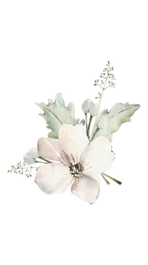 White Flower Watercolor, Wedding Illustration Card, Modern Watercolor Art, Cherry Blossom Watercolor, Baby Animal Drawings, Watercolor Flowers Tutorial, Cool Pictures For Wallpaper, Paper Background Design, Simple Iphone Wallpaper