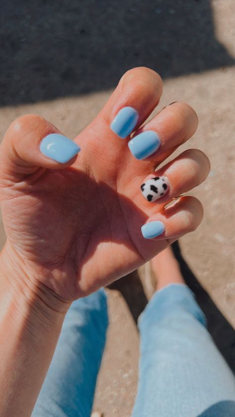 Cow print western nails Cow Nails Short, Short Acrylic Nails Almond Cow Print, Cow Print Nails With Blue, Navy Blue Cow Print Nails, Cow Print Nails Blue, Blue Cow Nails, Blue Nails Cow Print, Cow Print Nails Short, Short Cow Print Nails