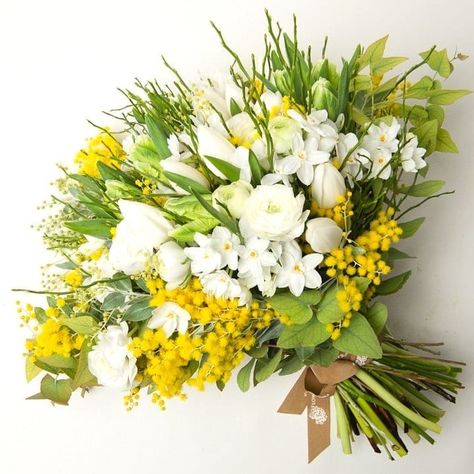 Guillaume Dian-Flon on Instagram: “Mimosa Mania !” Yellow Wedding Theme, A Bunch Of Flowers, Mimosa Flower, White Ranunculus, Hand Bouquet, Spring Bouquet, Wildflower Wedding, White Bouquet, Bunch Of Flowers