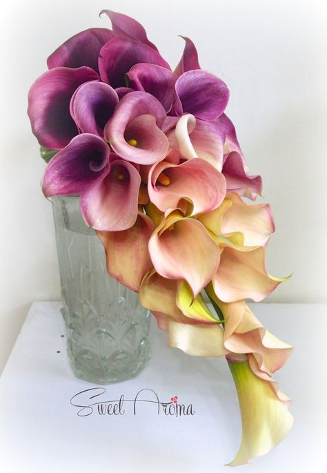 Cascading Calla Lily Bouquet Calla Bouquet, Shots Wedding, Lily Bridal Bouquet, Teardrop Bouquet, Calla Lily Bouquet Wedding, Wildflower Wedding Bouquet, Calla Lily Wedding, Cascading Wedding Bouquets, Sunflower Wedding Bouquet