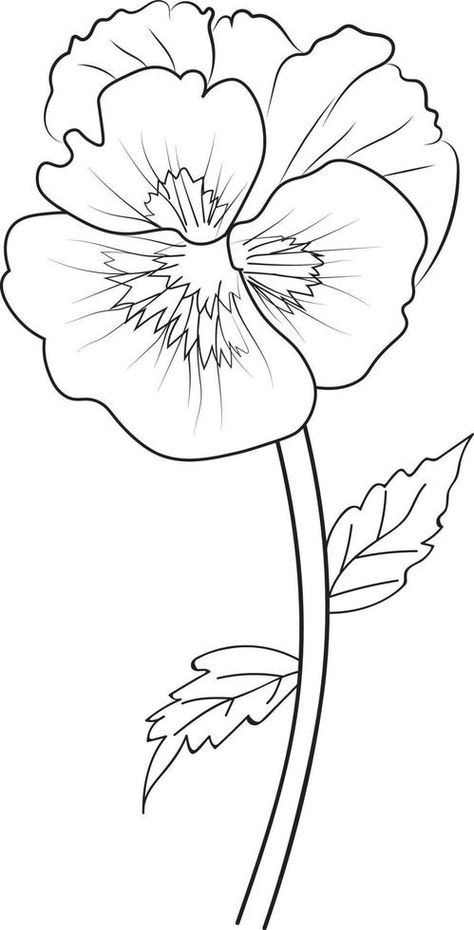 Cute flower coloring pages, pansy drawing, Neon Violet,  flower drawing, Hand drawn botanical spring elements bouquet of pansy flower line art coloring page, easy flower drawing. Violets Drawing, Violet Flower Drawing, Pansy Drawing, Traceable Drawings, Palette Playground, Spring Elements, Art Topics, Neon Violet, Flower Line Drawing