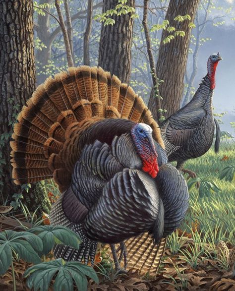 Turkey Painting, Turkey Hill, Turkey Art, Hunting Art, Wild Turkey, Turkey Hunting, Airbrush Art, Fabric Panel, Wildlife Art