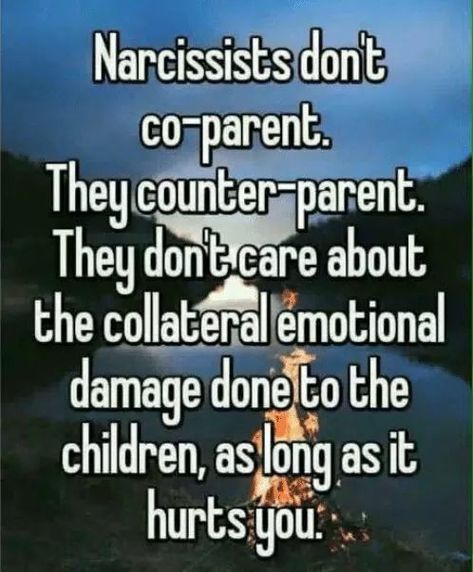 Protecting Children Quotes, Divorced Parents Quotes, Coparenting Quotes, New Parent Quotes, Co-parenting, Parallel Parenting, Narcissism Relationships, Parental Alienation, Narcissistic Parent