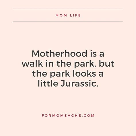 This walk in the park is a little like fighting for my life but whatever 🙄😂 Tag a mama who can relate 👇 and follow @formomsache for more relatable mom humor 🤝 #formoms #formom #formomsache #momhumor #fridayhumor #motherhoodquotes Single Mom Humor, Relatable Mom, Christmas Memes, Mom Memes, Friday Humor, Walk In The Park, Mom Hacks, Christmas Mom, Girl Mom