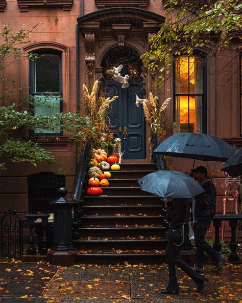 Halloween in West Village, NYC West Village Nyc, West Village, Fall Aesthetic, Phone Wallpapers, Palm Beach, Phone Wallpaper, Wallpapers, Halloween, Travel