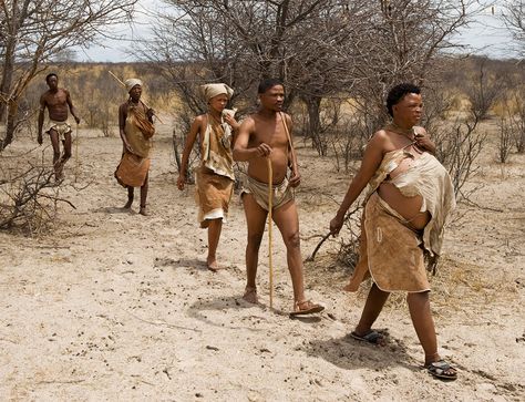 Khoisan People, San People, Homo Habilis, Early Man, Human Migration, Long March, Early Humans, Human Evolution, New Scientist