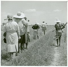 Peonage system: Remember on Juneteenth slavery did not end in 1865 Cotton Plantations, Mao Zedong, American Photography, Mississippi Delta, American Photo, Hawaiian Art, Black White Photography, New York Public Library, African American Art