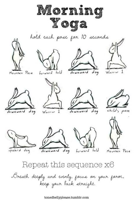 This is a great way to start any morning. I would recommend trying this cute sequence below – repeat it about 6 times. Bunny Yoga, Yoga Foto's, Yoga Positionen, Motivasi Diet, Yoga Ashtanga, Poses For Beginners, Body Transformations, Sup Yoga, Killer Workouts