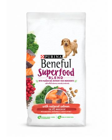 Food With Salmon, Purina Dog Food, Wholesome Dog, Best Dog Food, Wet Dog Food, Healthy And Happy, Dog Treat Recipes, Dry Dog Food, Get Excited