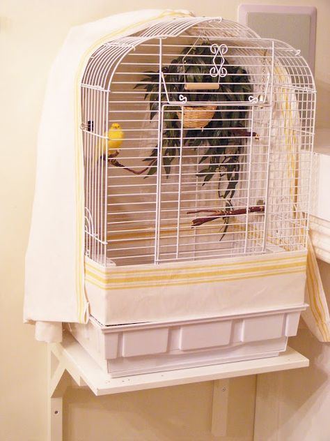 Bird Cage Art, Cage Art, Canary Cage, Bird Of Paradise Wedding, Parakeet Care, Red Bird Tattoos, Small Bird Cage, Bird Cage Covers, Homemade Bird Houses