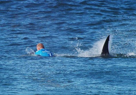 The Week in Pictures: July 16 - 23 - NBC News Australian Beer, Surf Competition, World Surf League, Powerful Pictures, Man Beast, Africa Do Sul, Bigger Boat, Pictures Of The Week, Great White Shark