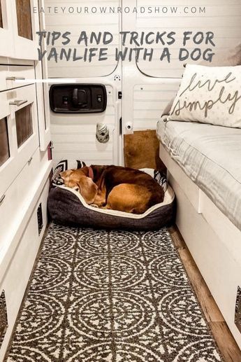 Sprinter Van Conversion With Dogs, Campervan Dog Bed, Van Living With Dog, Vanlife With A Dog, Dog Friendly Van Conversion, Camper With Dogs, Van Life With Dog, Van Living Hacks, Van Living Diy