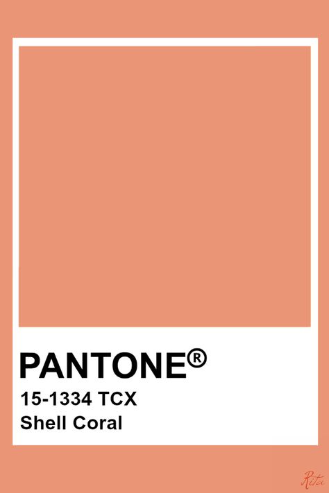 Pantone Shell Coral Coral Color Aesthetic, Pantone Orange, Coral Pantone, Pantone Tcx, Pantone Color Chart, Pantone Swatches, Pantone Palette, Coral Pink Color, Pantone Colour Palettes