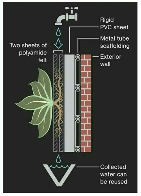 Vertical Garden Plants, Green Facade, Living Walls, Vertical Gardening, Green Architecture, Vertical Gardens, Green Walls, Wall Garden, Living Wall