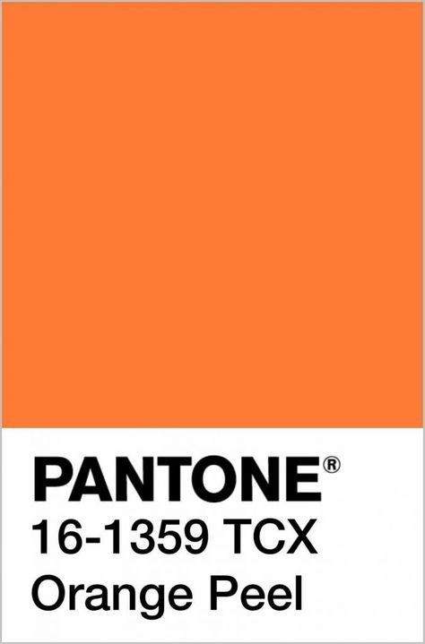 Pantone Fashion Color Trend Report Spring/Summer 2020 New York Fashion Week - Fashion Trendsetter 2022 Color Palette, Orange Pantone, Pantone Orange, Spring Orange, Colour Trends, Pantone Colors, Color Trends Fashion, Orange Aesthetic, Colour Orange