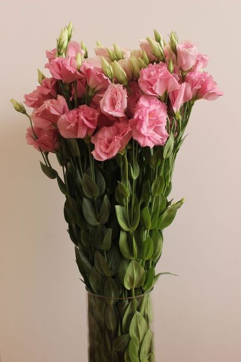 Lisianthus Wedding Bouquet, Lisianthus Bouquet, Lisianthus Flower, Lisianthus Flowers, Honey Pink, Flower Scent, Nothing But Flowers, Flower Therapy, Love Flowers