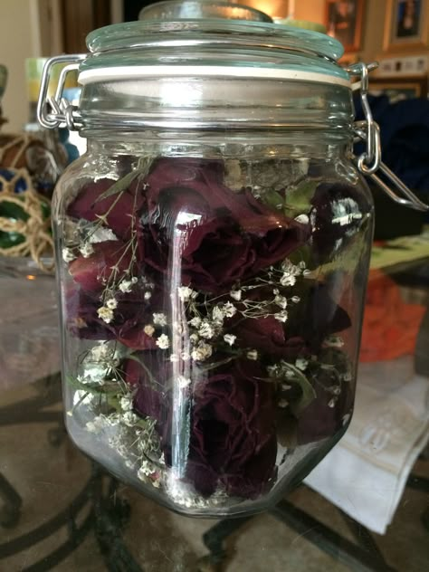 Jar Aesthetic, Nothing But Flowers, Dark Rose, Flower Therapy, Dream Room Inspiration, Pretty Flowers, Dark Aesthetic, Pretty Pictures, Room Inspo