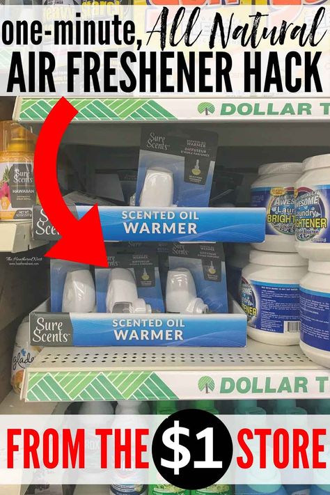 Need An ALL NATURAL Air Freshener Solution? Here's a Dollar Tree DIY Deodorizer Hack You Can Make In Under 1-Minute. This Is The Easiest, Best Plugin Air Freshener Solution! #deodorizer #airfreshener #allnaturalairfreshener #naturalairfreshener #roomfreshener #automaticairfreshener #howtomakeyourhousesmellgood #makeyourhousesmelllikeaspa #roomairfreshener #roomdeodorizer #airfreshenerhack #essentialoil #essentialoils #airfreshenerDIY #airfreshenerhomemade #airfreshenerdiyplugs #dollartree Diy Deodorizer, Natural Air Freshener Diy, Diy Outdoor Movie Screen, Room Deodorizer, Homemade Air Freshener, Body Craft, Dollar Tree Hacks, Diy Air Freshener, House Smell Good