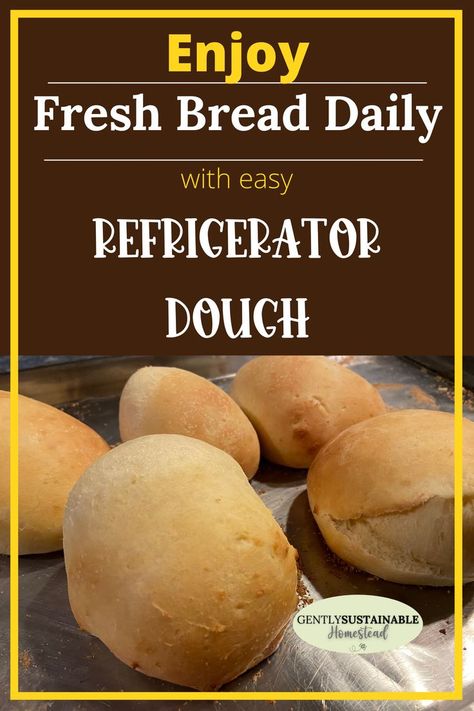 You can have fresh bread on the table every day with these super easy "No-Knead Refrigerator Dough" recipes! Make a loaf, fresh rolls, cinnamon rolls, pizza dough and more! Your family will LOVE it! #refrigeratordough Refrigerator Bread Dough Recipe, Refrigerator Dough Recipes, Dinner Rolls From Frozen Bread Dough, How To Make Dinner Rolls From Frozen Bread Dough, Southern Living Best Ever Freezer Friendly Yeast Rolls, Refrigerator Bread Dough, Refrigerator Rolls Recipe, Refrigerator Dough, 2024 Plan