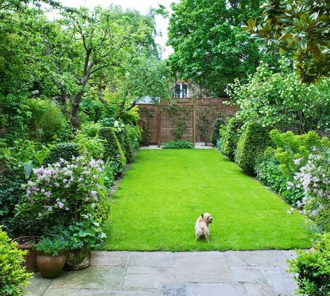 Vegetable Garden Shade, Ideas Jardin, Garden Shade, Townhouse Garden, Small Yard Landscaping, Backyard Designs, Small Backyard Gardens, Flower Garden Design, Garden Shrubs