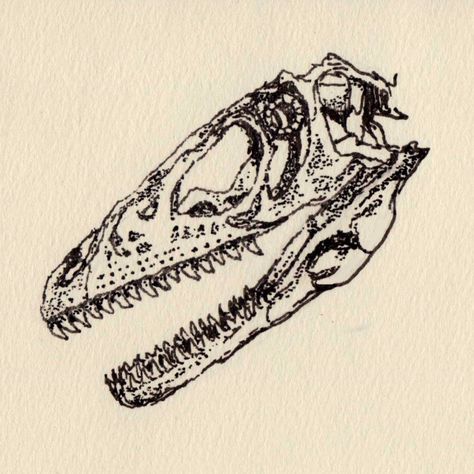 Bones Sketch, Hippie Tattoo, Tatoo Inspiration, Bone Tattoos, Forest Tattoos, Old Tattoos, Drawing Pen, Dinosaur Bones, Animal Bones