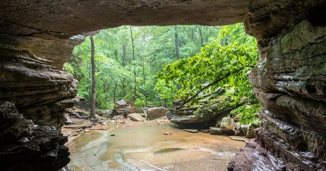 This Lost Arkansas Trail Belongs On Your Bucket List Ponca Arkansas, Arkansas Road Trip, Arkansas Vacations, Ozark National Forest, Arkansas Travel, Getaway Cabins, Nature Trail, Awe Inspiring, Hot Springs