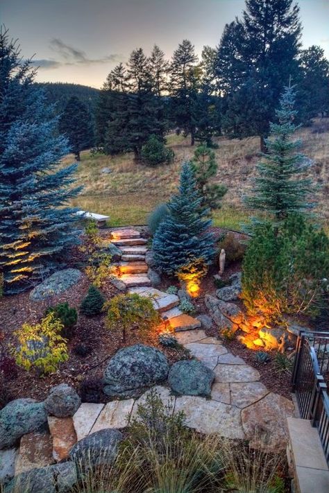 Forest Front Yard Landscaping, Backyard Landscaping Mountain, Mountain Xeriscape Landscaping, Mountain Landscaping Ideas Cabin, Hardscapes Front Yard, Mountain Property Landscaping, Mountain Lodge Landscaping, Mountain Deck Ideas Outdoor Living, Yard In The Woods