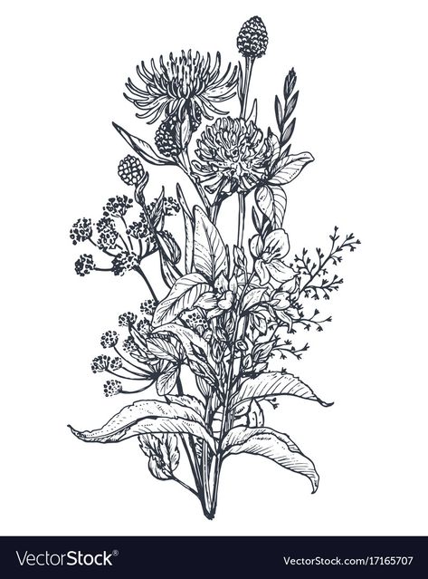 Bouquet Tattoo, Wildflower Tattoo, Floral Tattoo Sleeve, Botanical Tattoo, Illustration Botanique, Flower Sketches, Nature Tattoos, White Hand, Piercing Tattoo