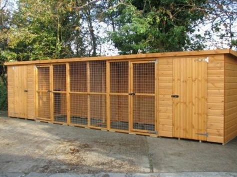 Dog kennels and storage sheds. Gotta pitch the roof a little though Dog Kennel And Run, Kennel Ideas Outdoor, Building A Dog Kennel, Dogs House, Dog Boarding Kennels, Indoor Dog Kennel, Dog Kennel Designs, Wooden Dog Kennels, Dog Kennel Furniture