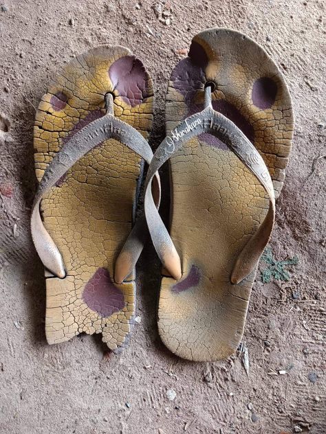 Bird Prints, Flip Flop, Png Image, Mens Flip Flop, Flip Flops, Funny Pictures, Paintings, Lifestyle, Collage