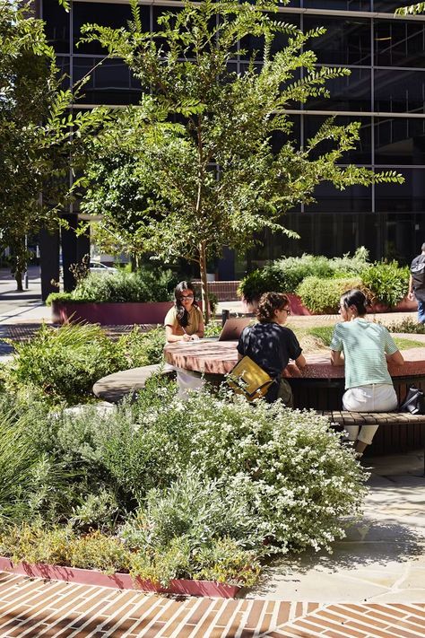 School Landscape Design, Green Courtyard, Landscape Plaza, Campus Landscape, Urban Courtyards, Kilkenny Castle, Urban Design Concept, Artistic Installation, School Garden