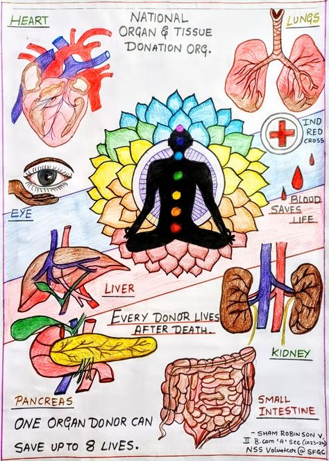 Theme Based Drawing, Organ Donation Poster, Poster Making Competition, Donation Poster, Blood Donation Posters, Based Drawing, Science Drawing, Science Cartoons, Art Competition Ideas