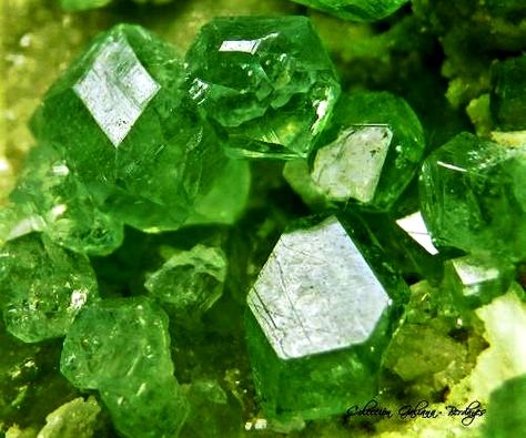 Peridot Stone Aesthetic, Stone Aesthetic, Andradite Garnet, Minerals Crystals Rocks, Barbie Aesthetic, Rough Gems, Crystal Green, Peridot Stone, Elements Of Design