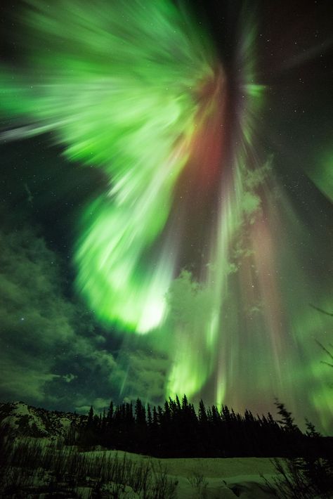 Geomagnetic Storm, Northern Lights (aurora Borealis), Aurora Borealis Northern Lights, Space Pictures, Tromso, Space Flight, The Night Sky, Queenstown, Beautiful Sky